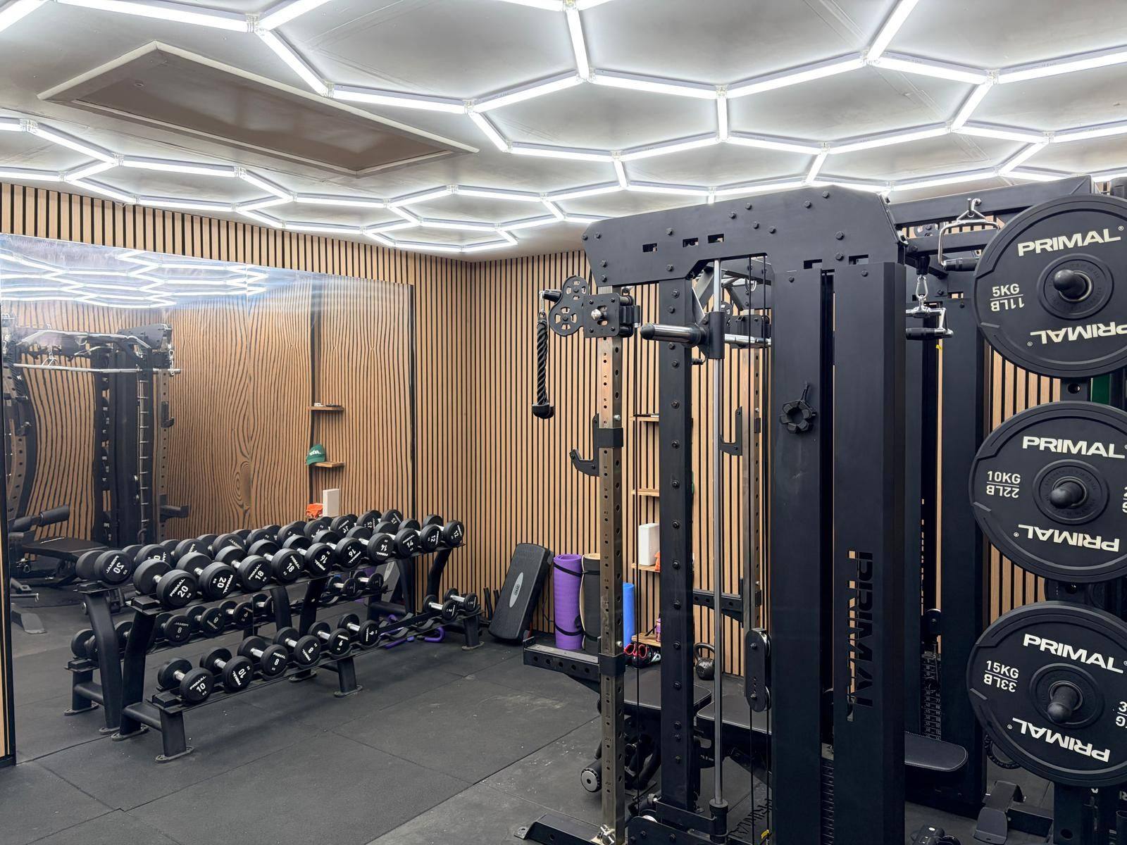Weights area of the Durham double garage gym with a full dumbbell rack, cage rack with plates, wall mirror and oak slat panelling under a hexagon LED ceiling